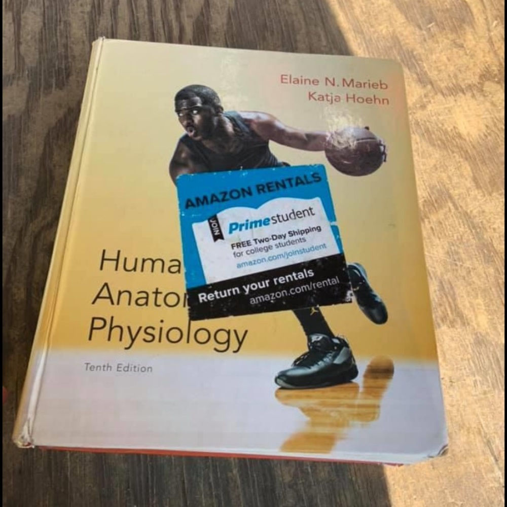 Assorted Nursing/Medical Books